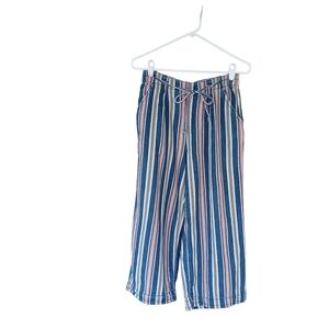 AEO High Waisted Blue Striped Wide Leg Cropped Pants Size 6